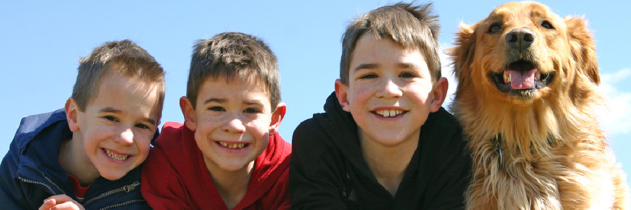 Child Sexual Abuse Counseling